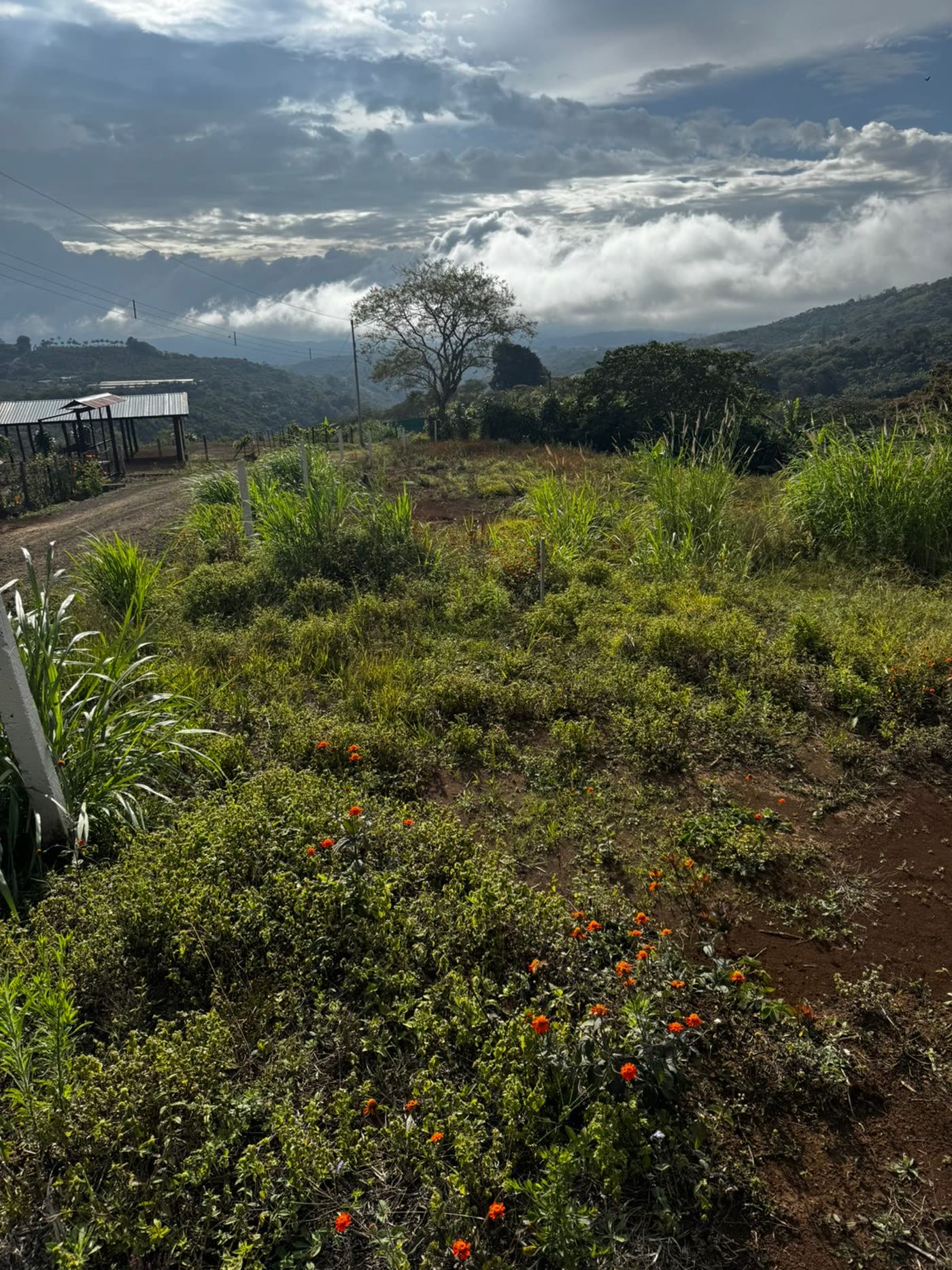 El terreno frente a la calle pública